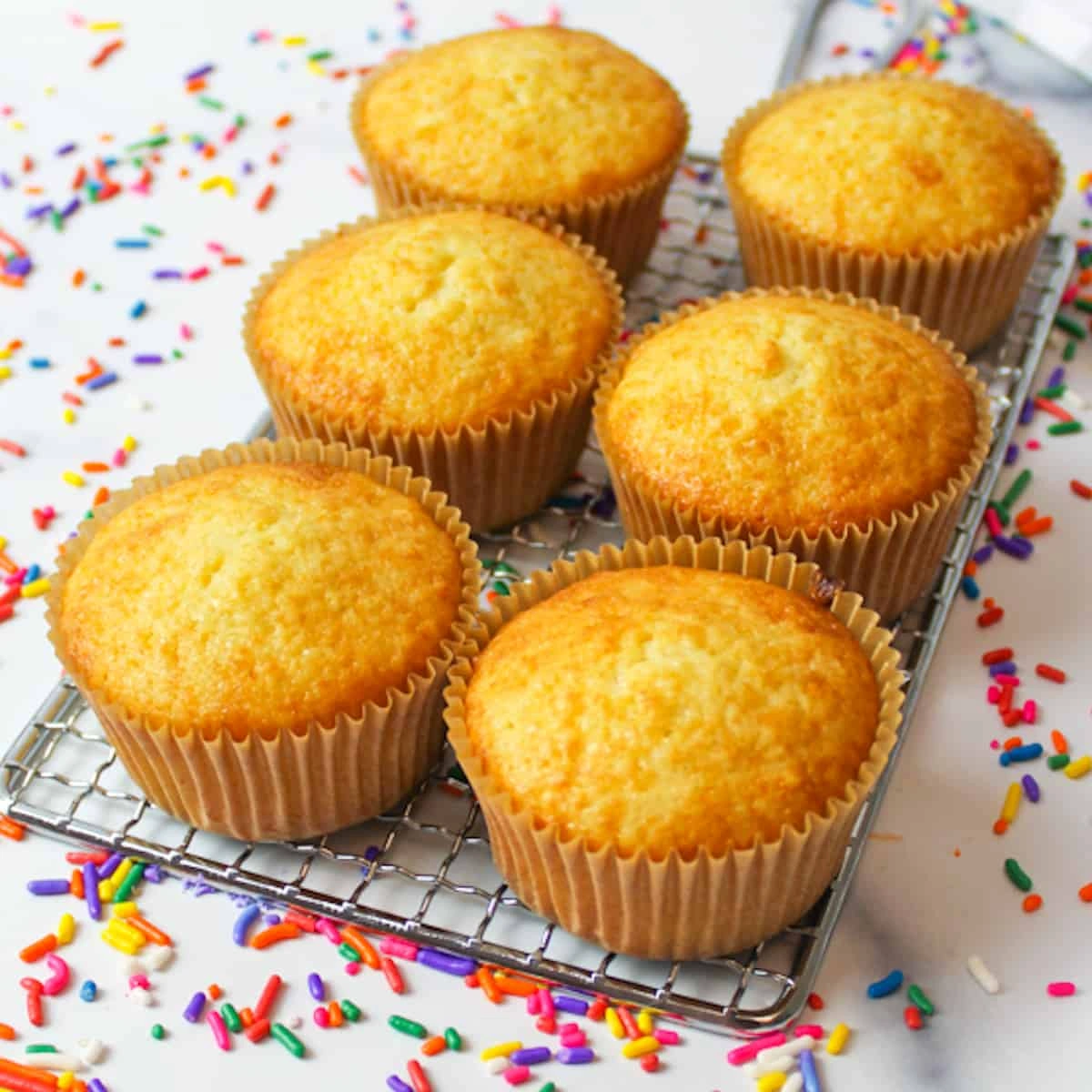 Vanilla Muffins