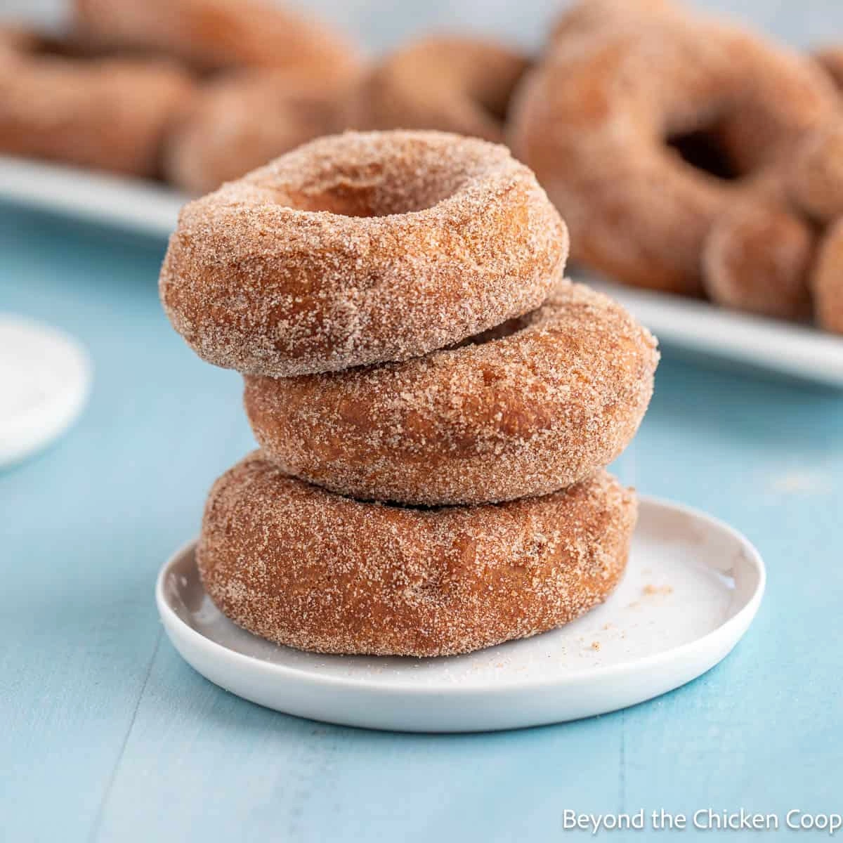 Cinnamon Sugar Doughnuts
